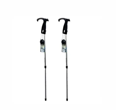 Палиці для скандинавської ходьби Joy Fitness Alu trekking stock